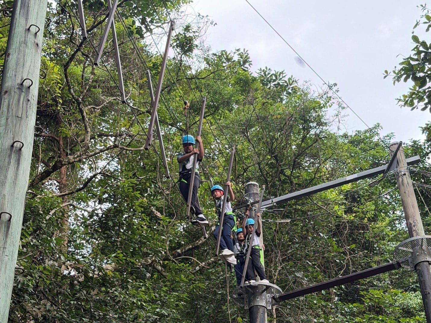 Primary 5 students wearing safety helmets and harnesses bravely navigating a high ropes course among the treetops during their school camp, demonstrating resilience and teamwork in an outdoor adventure challenge.
